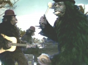 21-12-2012 13-26-15 Nilsson gorillas, Coconut, BBC